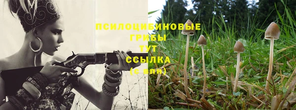 кокаин Богородицк