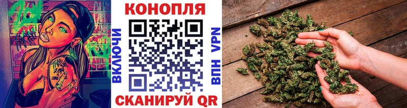 Купить где  Волоколамск  Бошки марихуана THC 21% 